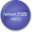 Network 컨설팅 서비스